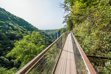 Okatse Canyon, Georgia, hiking trail above the canyon