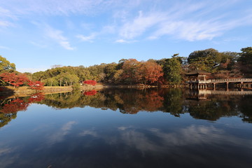Fototapeta premium 浮見堂の秋景色