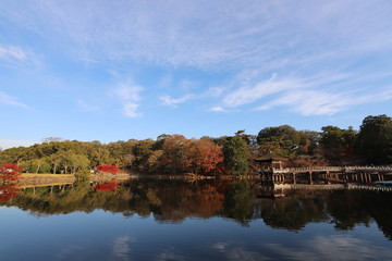 Fototapeta premium 浮見堂の秋景色