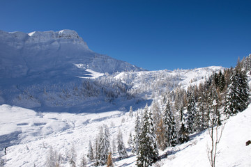 Fototapeta na wymiar La prima neve sul passo Valles