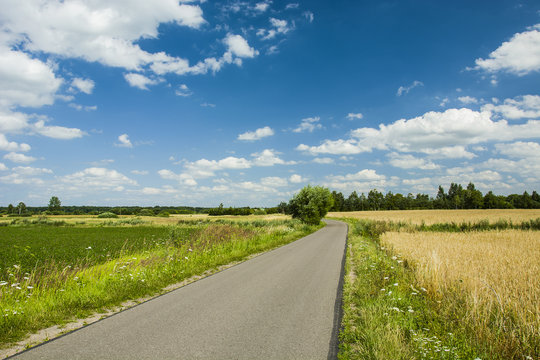 Asphalt road through fields and meadows