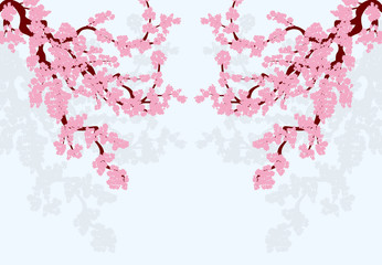 Sakura is stylized. Curved branches of a cherry tree with pink flowers and cherry buds and their shadows. illustrator isolated