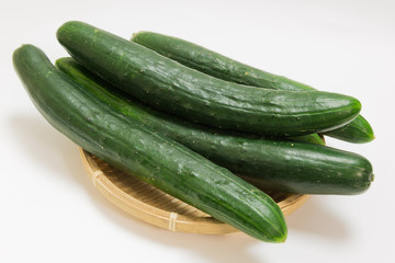 大きいキュウリ