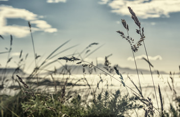 Looking over to the Isle of Rum