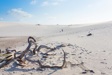 Fototapeta premium White sand dunes panorama from Lencois Maranhenses National Park, Brazil.