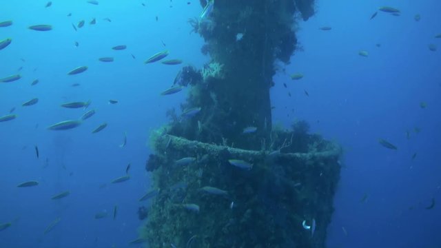 Shipwreck underwater in Red Sea Egypt. Ghost ship in blue lagoon on coral reef. Extreme tourism.Deep diving.