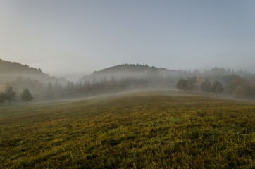 pola,  mgła  © wedrownik52