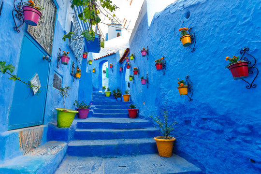Famous Blue City Chefchauen at Morocco. Colorful flowerpots on the blue wall of old building. Travel destination concept.