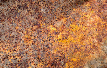 Rust surface For background.