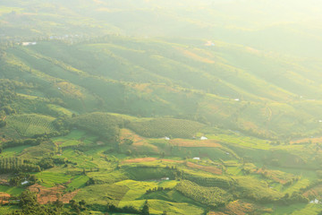 Green rice field on the valley with sunlight in morning. Top view landscape.