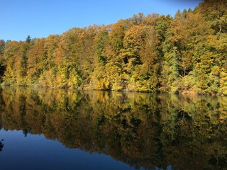 Wald am See