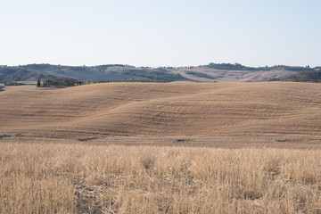 Plowed field ready to be cultivated in Val d'Orcia, Tuscany