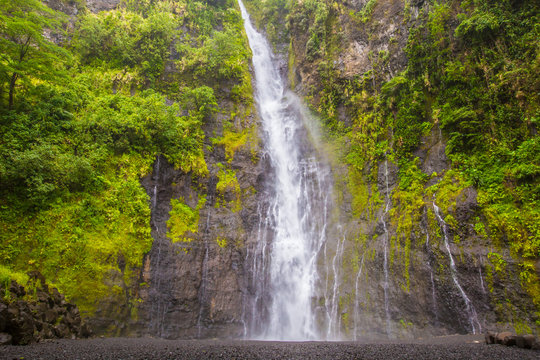 Faarumai