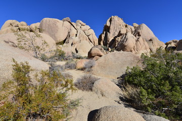 A Rocky Landscape at the Joshua tree national park.