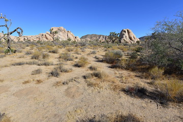 A Rocky Landscape at the Joshua tree national park.
