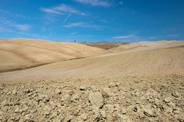 Plowed field ready to be cultivated in Val d'Orcia, Tuscany