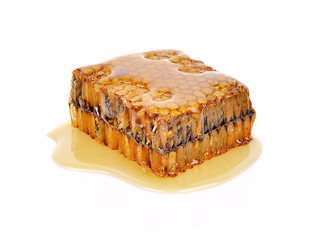 Honeycomb isolated on white background