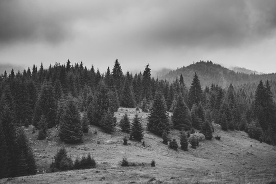 Fototapeta Black and white lanscape photo in Carpathian Mountains.