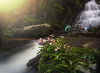 Mun-Dang waterfall with pink snapdragon (antirrhinum) flower in Petchaboon province,Thailand