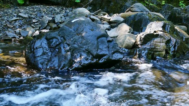 4K.Stream, river water in  summer wood with stone. 