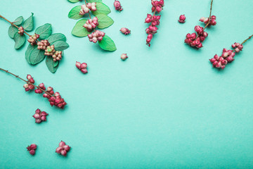 Autumn branches of plants with leaves and berries on a green background. Space for text.