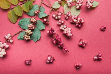 Top view of forest decorative berries on a pink background.