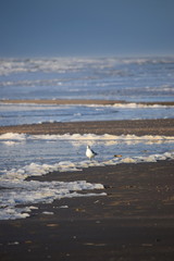 Nordseeküste nach einem Herbststurm