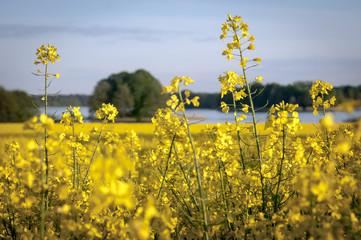 WARZNO_7492