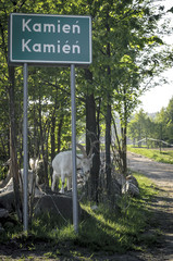 KAMIEN_7659