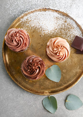 Tasty chocolate cupcakes on metal tray