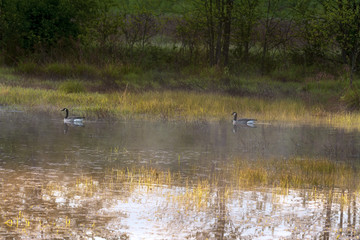 Two for Dinner please