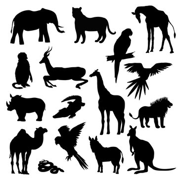 Vector illustration. Set of animals, parrot, giraffe, monkey, gazelle, elephant, rhinoceros, kangaroo, camel, lion, zebra, crocodile, snake, tiger. Black silhouette.
