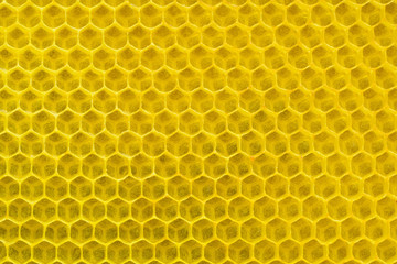 Background texture and pattern of a section of wax honeycomb. Apiculture.
