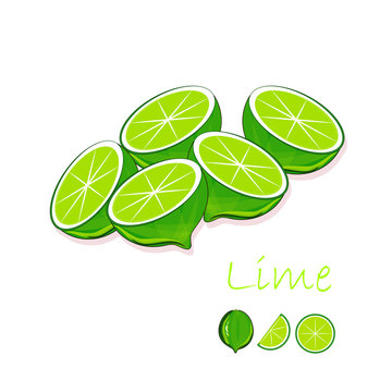 Green lime, slices on white background, hand drawing painting. Healthy eating, fruit, organic, for packaging design, for product packaging, for product label, for menu