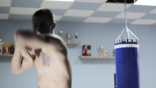 boxer coaches on boxing pear