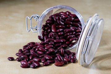 Delicious bean in the jungle and jar