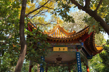 Kleiner Pavillon im Park zum entspannen.