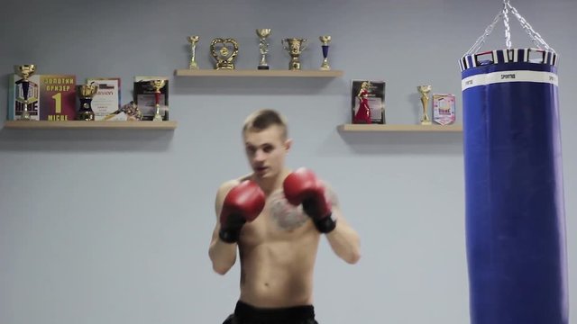 guy boxer trains in the gym