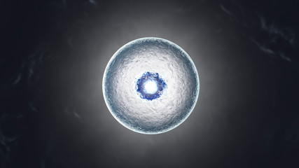 3D rendered illustration of a living cell	