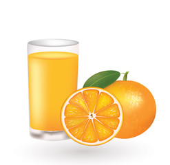 Orange juice with a fresh oranges beside the glass, vector