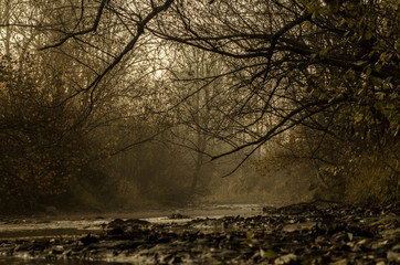 rzeka mgła  © wedrownik52