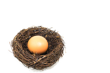 The small artificial bird nest with egg