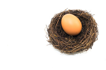 The small artificial bird nest with egg