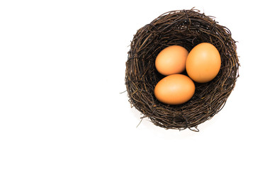 Eggs in the small artificial bird nest