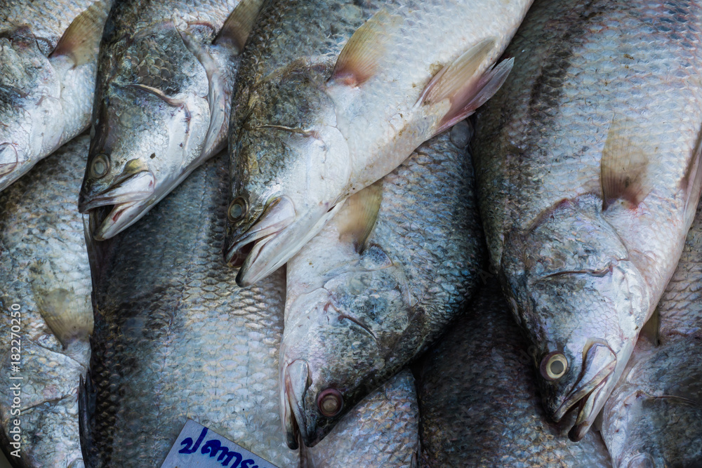 Wall mural Fresh sea bass fish in market of seafood