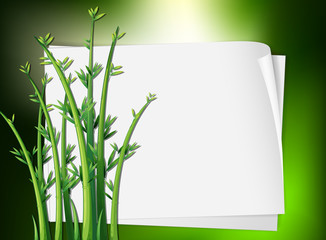 Border template with green plant