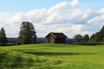 Fototapeta na wymiar Wiesenlandschaft im Voralpenland mit Holzhütten, Allgäu, Bayern