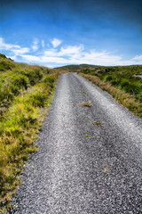 Fototapeta na wymiar Country Lanes in County Cork, Ireland