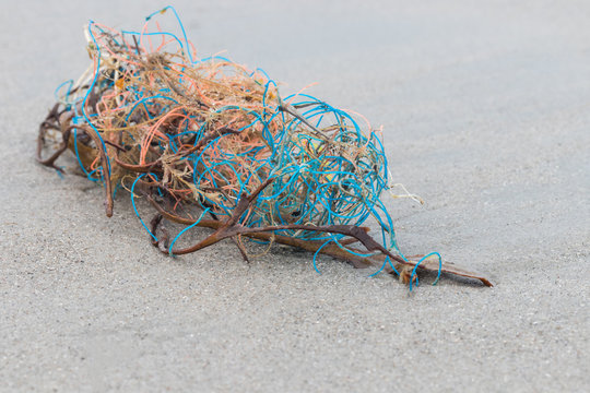 Strandgut Angespültes Fischernetz mit Algen und Seetang