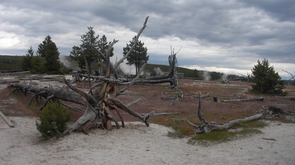 parc national de yellowstone